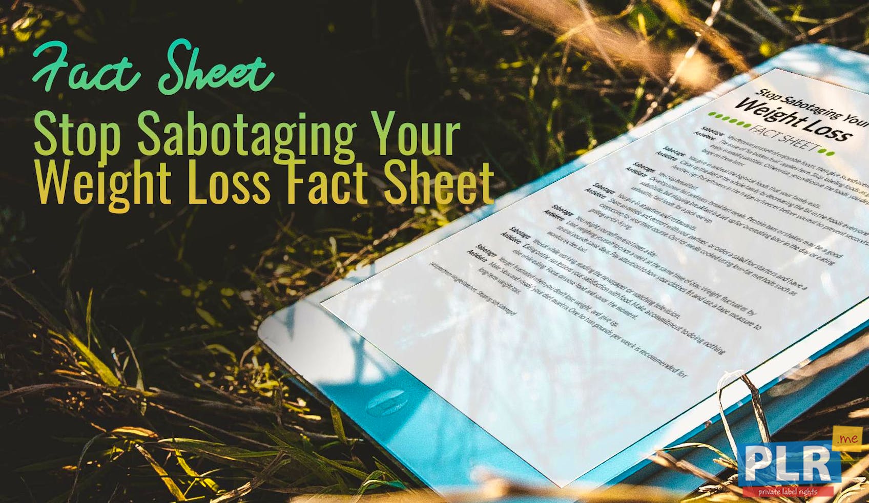 PLR Fact Sheets Stop Sabotaging Your Weight Loss Fact Sheet