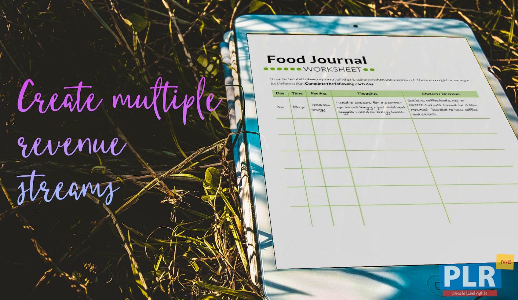 PLR Worksheets - Food Journal Worksheet - PLR.me