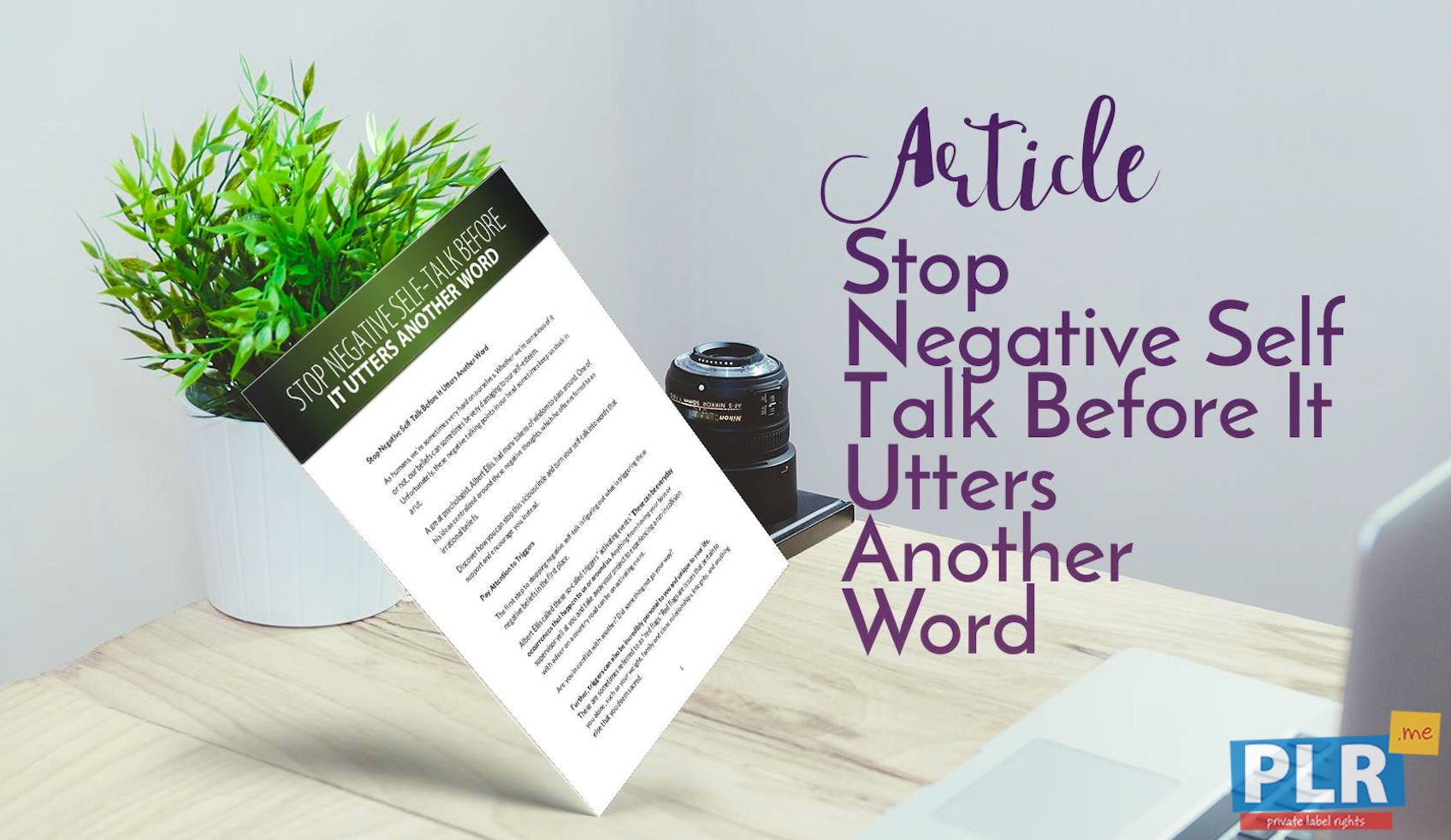 PLR Articles & Blog Posts - Stop Negative Self Talk Before It