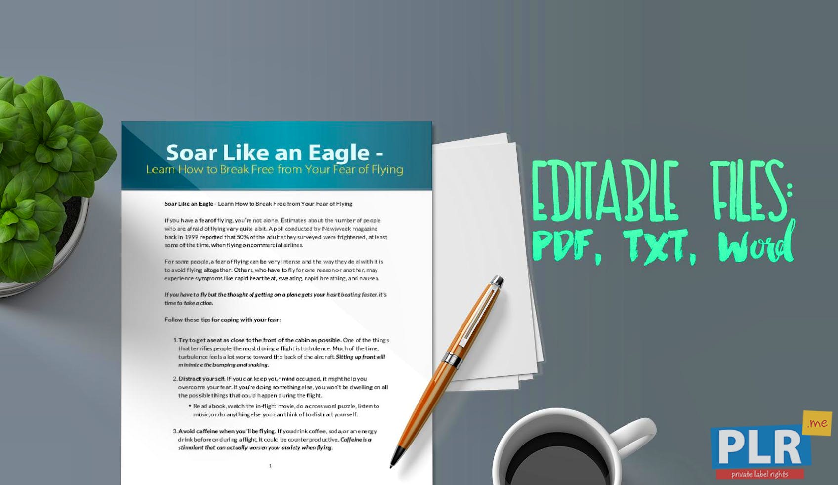 Plr Articles Blog Posts Soar Like An Eagle Learn How To Break
