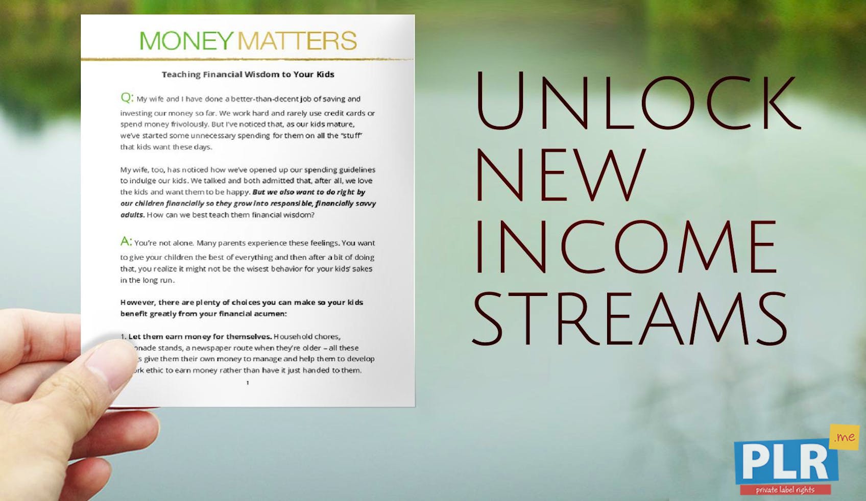 Plr Action Guides Coaching Handouts Lead Magnets Money Matters - money matters teaching financial wisdom to your kids