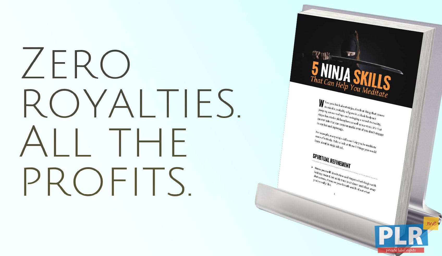 Plr Action Guides Coaching Handouts Lead Magnets 5 Ninja Skills That Can Help You Meditate Plr Me Plr Action Guides Coaching Handouts Lead Magnets 5 Ninja Skills That Can Help You Meditate Plr Me