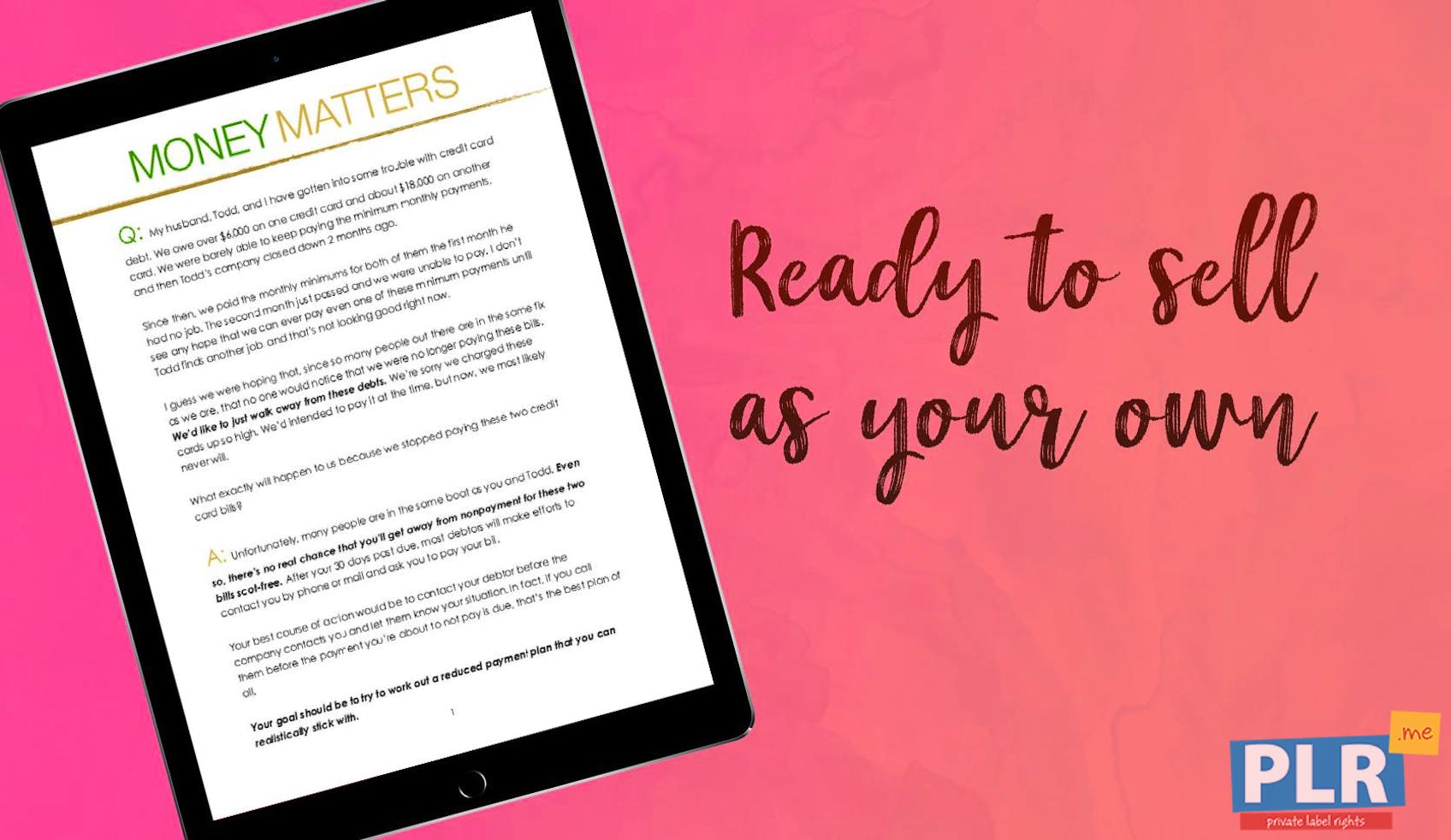 PLR Action Guides, Coaching Handouts & Lead Magnets - Money