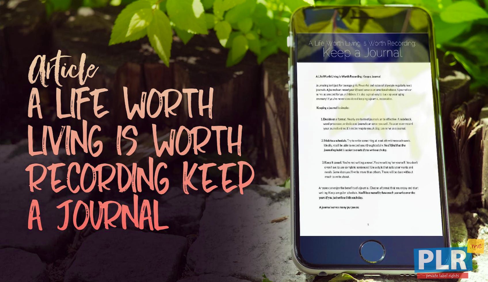 PLR Articles & Blog Posts - A Life Worth Living Is Worth Recording